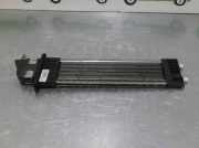 Achsschenkel Halter Rechts Vorne 8D0407258AC Audi A4 (B5) Limousine 1.9 TDI (AVG)