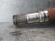 Klima Pumpe 1135088 Fiat Tempra (159) Limousine 1.9 Tds (160.A.6000)