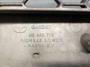 Grill 96442718 Daewoo / Chevrolet Captiva (C100) SUV 2.0 CDTI 16V 150 4x4 (Z20S)