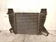 Ladeluftkühler 144618748R Renault / GRAND (F/JP0_) 1.5 dCi 90