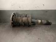 Stoßdämpfer Rechts Vorne 31316873721 BMW 1 serie (F20) Schrägheck 5-drs 118d 2.0 16V (B47-D20A)