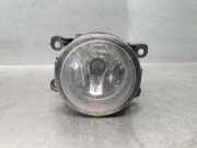 Nebelscheinwerfer Links Vorne 89210549 Nissan III (R51) 2.5 dCi 4WD