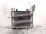 Ladeluftkühler 281904A21X Hyundai / STAREX Autobús (A1) 2.5 TCi