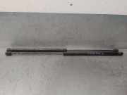 Gasdruckfedern Set Hinten 4M51N406A10AB Ford Focus II Wagon Kombi 1.6 TDCi 16V 90Kat. (HHDA)