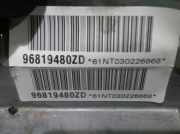 Lenksäule 96819480ZD Citroën C5 III Berline (RD) Schrägheck 2.0 HDiF 16V (DW10BTED4(RHF))