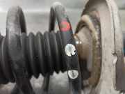 Kühlerventilator Renault Laguna II (BG) Schrägheck 5-drs 3.0 V6 24V (L7X-731)