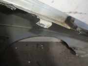 Kotflügel Links Vorne 7751696568 Renault I FASE 2 CLASSIC (LA..) 1.9 dCi Diesel CAT