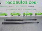 Gasdruckfedern Set Hinten 96830123 Fiat Brava (182B) Schrägheck 5-drs 1.9 JDT 100 (182.B.9000)