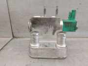 Agr Ventil 295E35353R Renault II (HF_) E-TECH 160