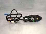 Antenne 282169284R Dacia Sandero III Schrägheck 1.0 TCe 90 12V (H4D-470(H4D-E4))