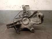 Achsschenkel Halter Links Vorne 2E0407303P Volkswagen Crafter Bus 2.5 TDI 30/32/35 (BJL) BJL