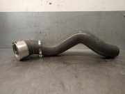 Schlauch 144600442R Renault (HA_, HL_) 1.3 TCe 140