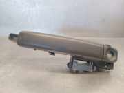 Türgriff Außen Links Vorne PR0007712 Renault MASTER III Furgoneta (FV) 2.3 dCi 135 FWD (FV0N, FV08)