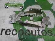 Gasdruckfeder Set Vorne Renault II Grandtour (KG0/1_) 1.9 dCi (KG0G)