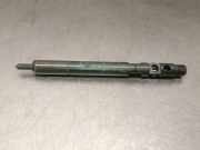 Kraftstoff-Injector A6460700987 Mercedes-Benz C (W204) Limousine 2.2 C-220 CDI 16V (OM646.811)