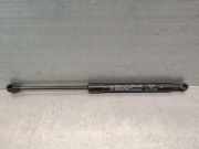 Gasdruckfeder Set Vorne 52216615 Fiat 500L (199) GroÃŸraumlimousine 1.3 D 16V Multijet (55283775)