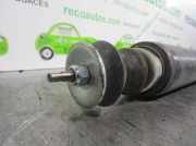 Stoßdämpfer Links Hinten 50708207 Fiat Bravo (198A) Schrägheck 1.9 JTD Multijet (192.A.8000)