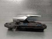 Türgriff Innen Rechts Vorne BJ3222600AA Land + Range Rover Range Rover Evoque (LVJ/LVS) SUV 2.2 TD4 16V (224DT(Euro 5))