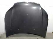 Motorhaube 7901P3 Citroën CITROËN III (RD_) 1.6 HDi 110