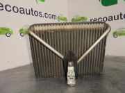 Klima Verdampfer Volvo S80 (TR/TS) Limousine 2.8 T6 24V (B6284T)