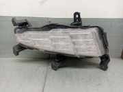 Scheinwerfer Rechts 92208G4600 Hyundai i30 (PDEB5/PDEBB/PDEBD/PDEBE) SchrÃ¤gheck 2.0 N Turbo 16V Performance Pack (G4KH)