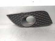 StoÃŸstangengitter RECHTS 1P0853666E Seat Leon (1P1) SchrÃ¤gheck 5-drs 1.2 TSI (CBZB)