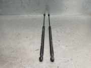 Gasdruckfedern Set Hinten 9650854180 Citroën C4 Coupé (LA) Schrägheck 3-drs 2.0 HDi 16V (DW10BTED4(RHR))