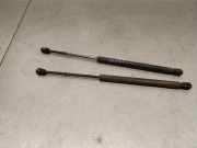 Gasdruckfedern Set Hinten XS41A406A10AF Ford Focus 1 Schrägheck 1.8 TDdi (C9DB)