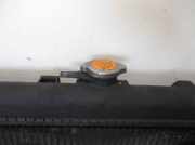 Radiator 21410BN301 Nissan Primera (P12) Schrägheck 2.2 dCi 16V (YD22ETi)