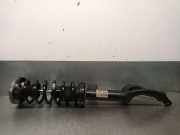 Stoßdämpfer Links Vorne 31316798151 BMW 5 serie Gran Turismo (F07) Schrägheck 530d xDrive 24V (N57-D30A)