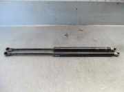 Gasdruckfedern Set Hinten 7700430022 Renault SCÉNIC I Monospace (JA0/1_, FA0_) 1.9 dCi (JA05, JA1F)