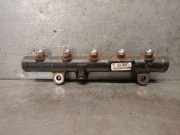 EinspritzdÃ¼sen DÃ¼senstock 9681649580 CitroÃ«n C4 Picasso (UD/UE/UF) GroÃŸraumlimousine 2.0 HDiF 16V 135 (DW10BTED4(RHJ))