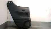 T?rverkleidung Links Hinten 67498F4010C1 Toyota C-HR (X1,X5) SUV 1.8 16V Hybrid (2ZRFXE)