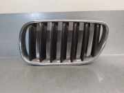 Grill 51113420088 BMW X3 (E83) 2.0 16V Diesel CAT