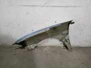 Kotflügel Rechts Vorne 6L0821022C Seat Ibiza III (6L1) Schrägheck 1.9 SDI (ASY)