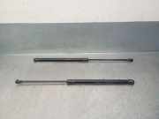 Gasdruckfedern Set Hinten 904504EA1A Nissan Qashqai (J11) SUV 1.6 dCi (R9M)