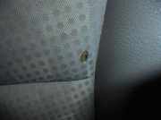 Motorhaube 6640025520 Hyundai (LC) *