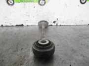 Bremsanker Stange Links Vorne Audi (4LB) 3.0 TDI quattro