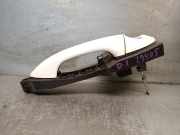 Türgriff Außen Links Vorne 82651C8050 Hyundai i20 (GBB) Schrägheck 1.2i 16V (G4LA)