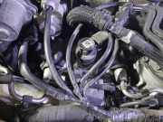 Sicherheitsgurt Rechts Hinten 888404337R Renault Laguna III (BT) Schrägheck 5-drs 1.5 dCi 110 (K9K-846(K9K-R8))