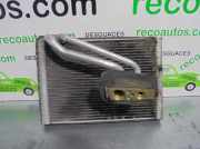 Klima Verdampfer Fiat Grande Punto (199) Schrägheck 1.4 LPG (350.A.1000)