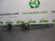 Stoßstange Hinten NEGROTEXTURADO Ford (DX) 1.8 Diesel CAT