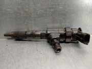 Kraftstoff-Injector 0445110252 Citro?n C3 (FC/FL/FT) Schr?gheck 5-drs 1.4 HDi (DV4TD(8HZ)) DV4TD(8HZ)