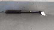 Stoßdämpfer Links Hinten 562106PA0 Nissan (F16_) 1.0