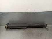 Stoßdämpfer Links Hinten 562101385R Renault Megane IV (RFBB) Schrägheck 5-drs 1.5 Energy dCi 110 (K9K-G6)