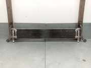 Radiator 7L6121212B Audi Q7 (4LB) SUV 3.0 TDI V6 24V (BUG)