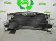 Motorhaube BLANCO Renault II PHASE 2 CAJA CERRADA 2.5 dCi Diesel CAT