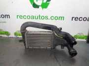 Ladeluftkühler 24436438 Opel ASTRA G BERLINA 2.0 DTI