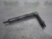 Kraftstoff-Injector 484391 Nissan ALMERA (N16/E) 2.2 16V Turbodiesel CAT
