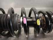 Sto?d?mpfer Links Hinten 96820579 Daewoo / Chevrolet Epica Limousine 2.0 D 16V (Z20S)